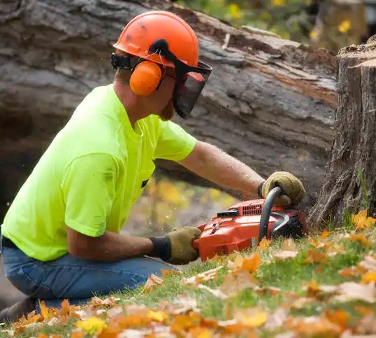 tree services Redland